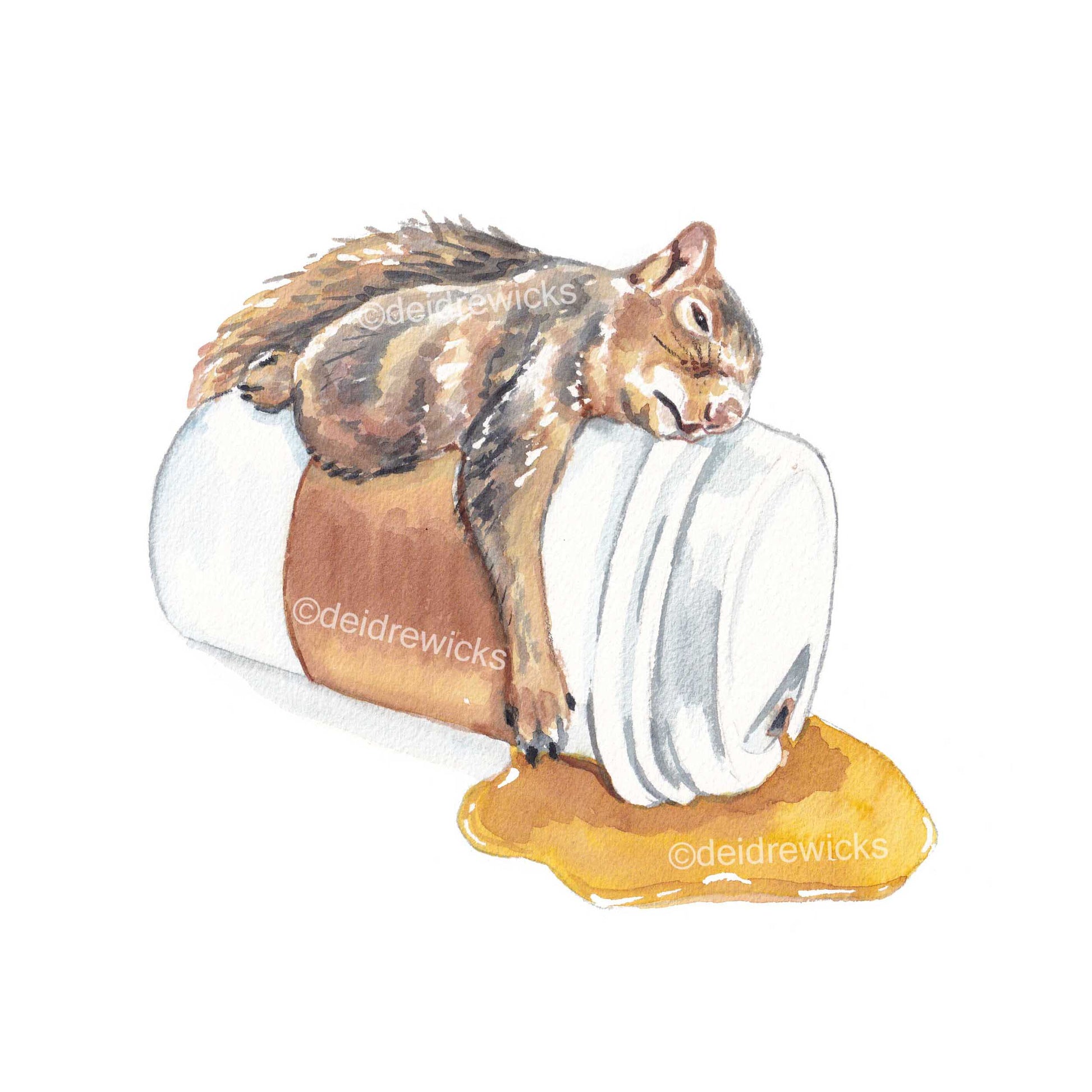 Sleepy Squirrel on a cup of coffee fine art watercolour print