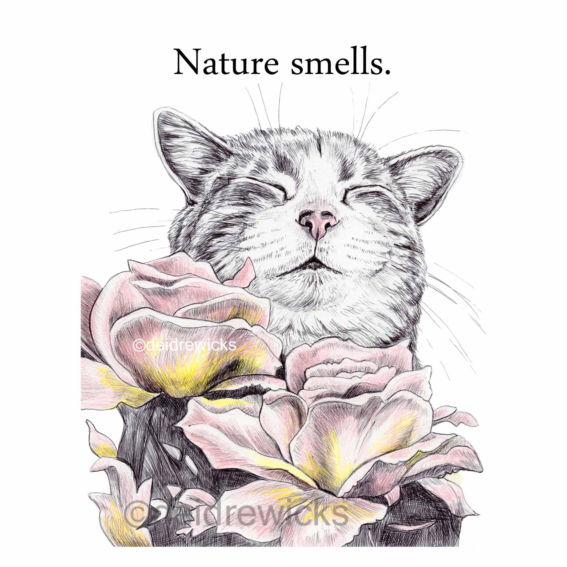 Ballpoint pen drawing of a tabby cat smelling pink and yellow tiffany roses. Art by Deidre Wicks