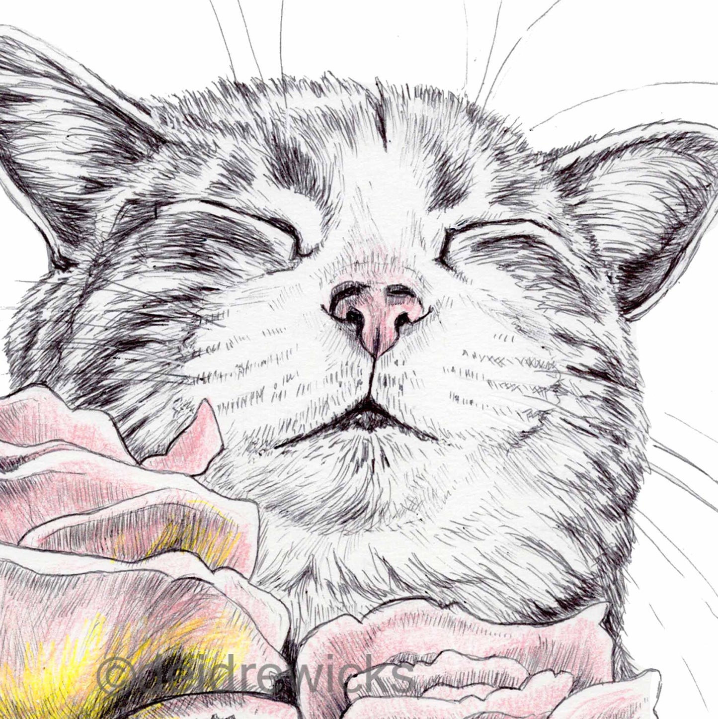 Ballpoint pen drawing of a tabby cat smelling pink and yellow tiffany roses. Art by Deidre Wicks