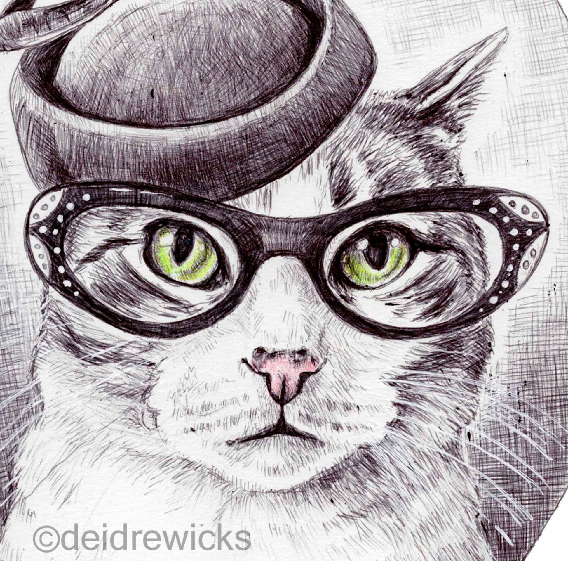 Close up of a pen drawing of a tabby cat wearing glasses and a hat.