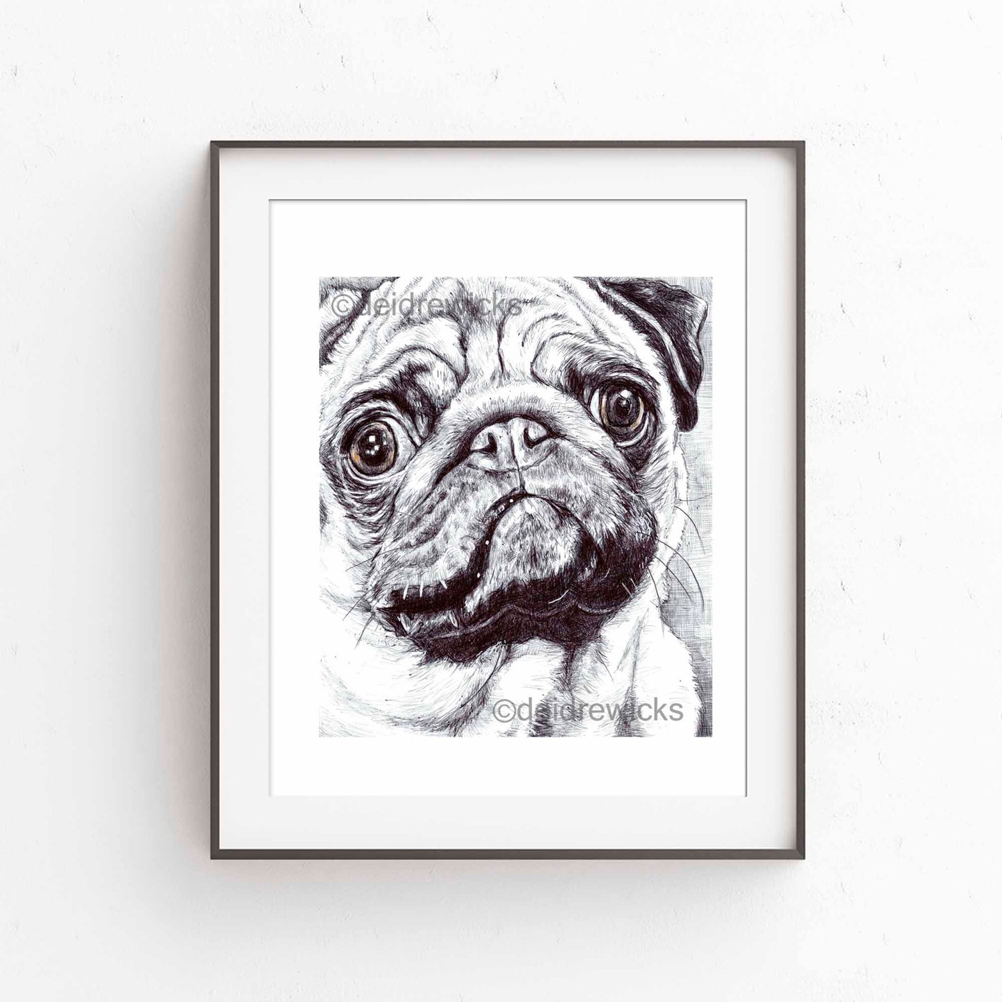 Framed example of a pug. Ballpoint pen dog art by Deidre Wicks