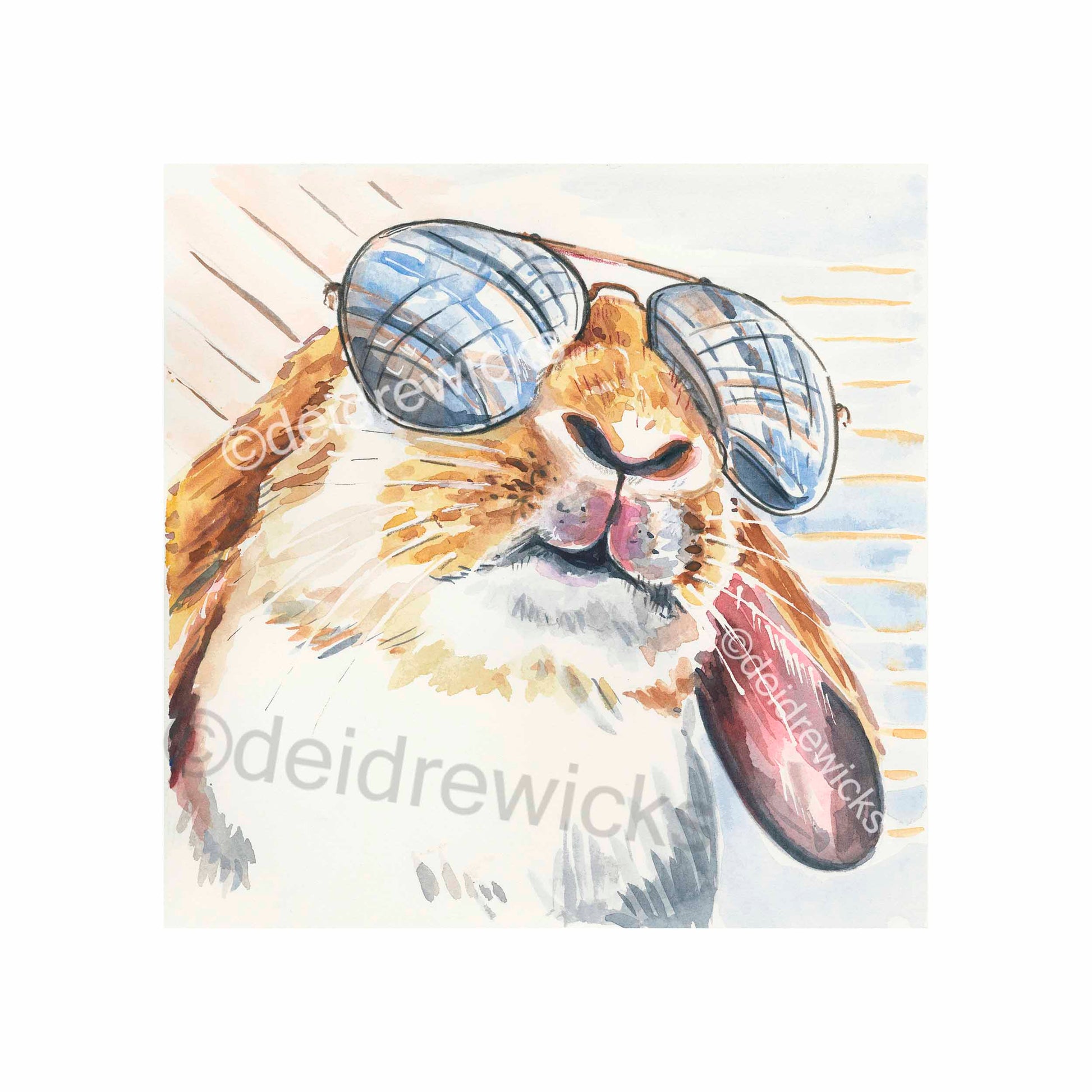 Watercolour painting of a cool lop eared rabbit wearing aviator glasses