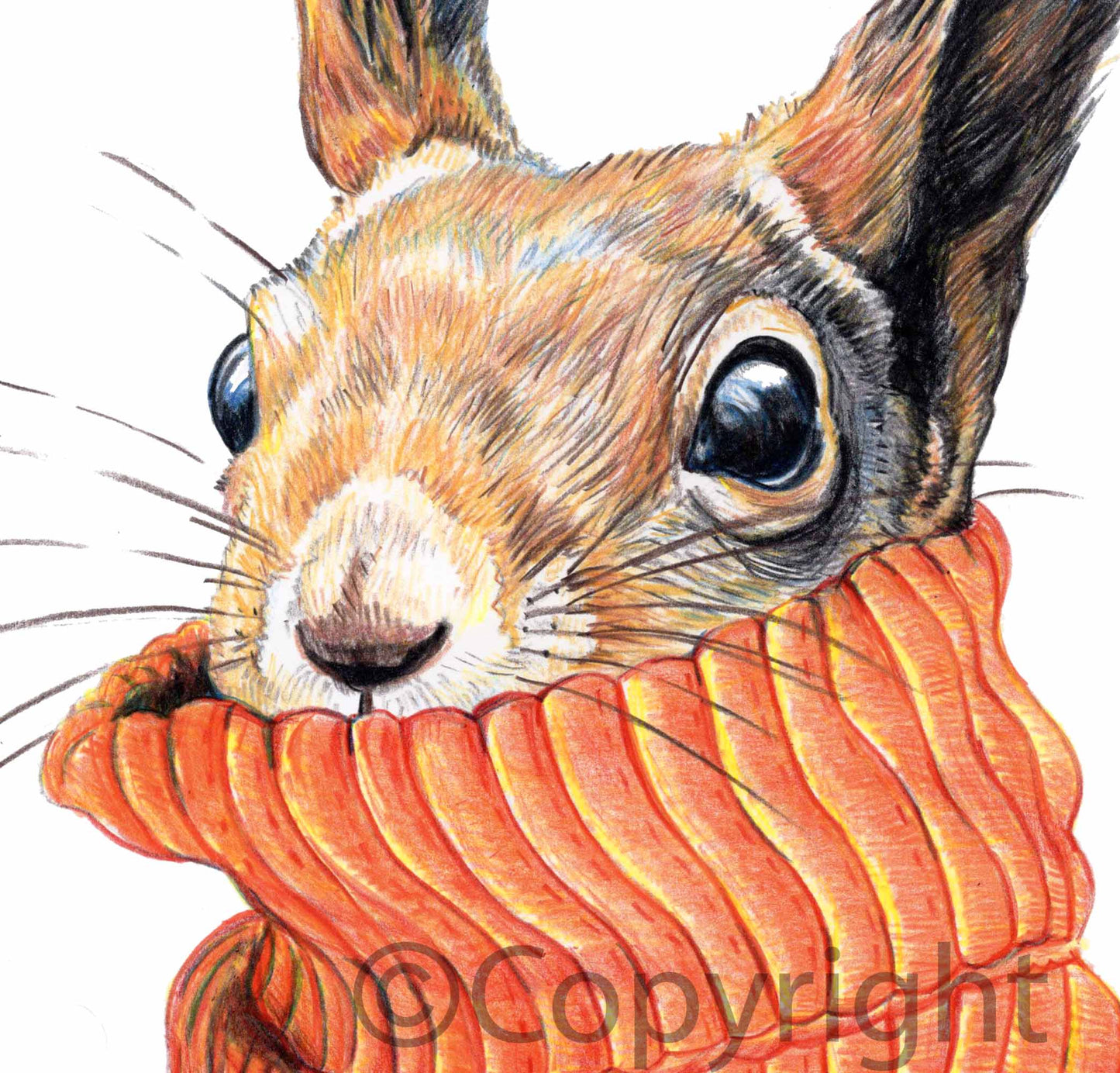 Coloured pencil drawing of a European red squirrel wearing an oversized orange turtleneck sweater. Art by Deidre Wicks