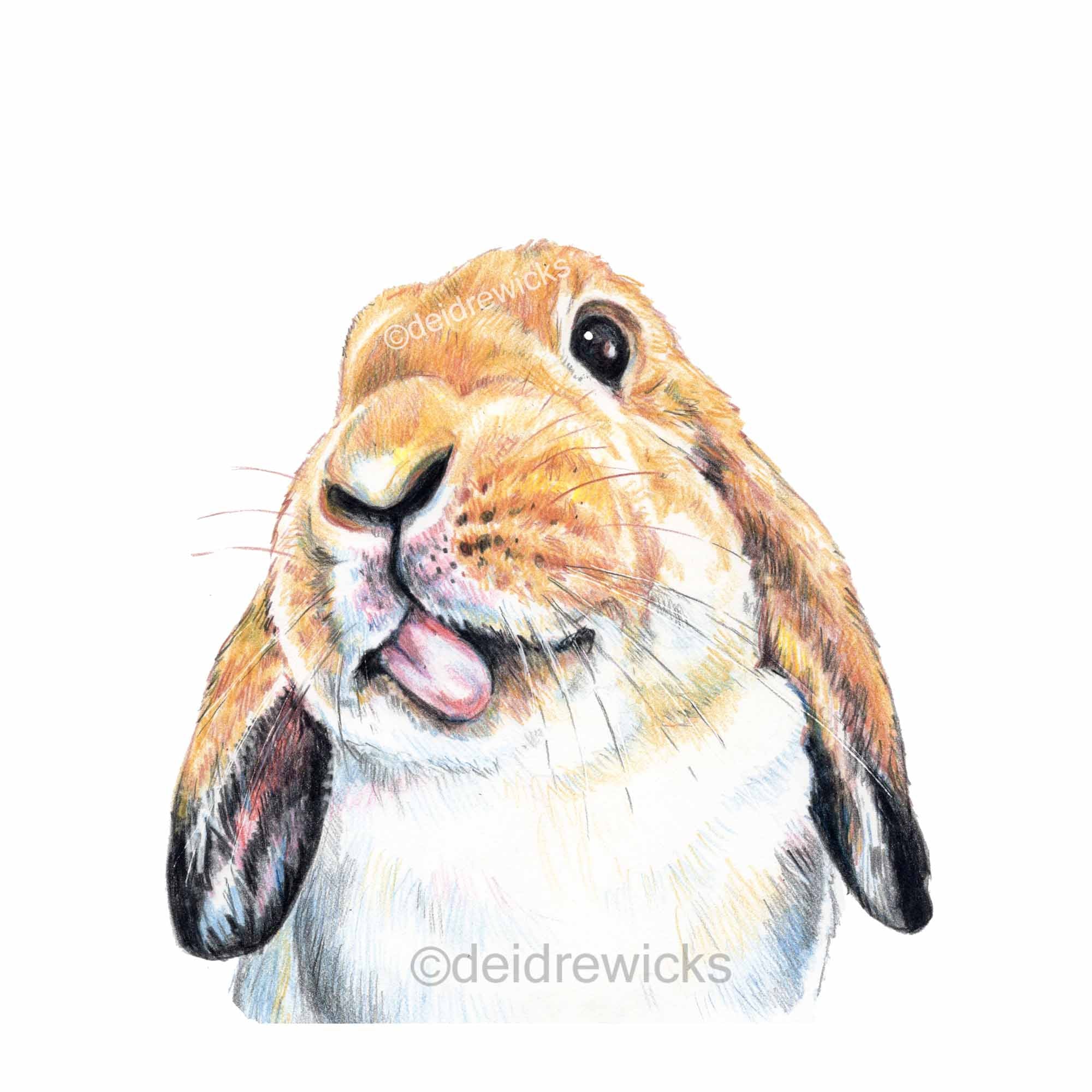 Cute 2 Rabbits Easter Bunny Painting Pri, Painting by Irinjoyart | Artmajeur