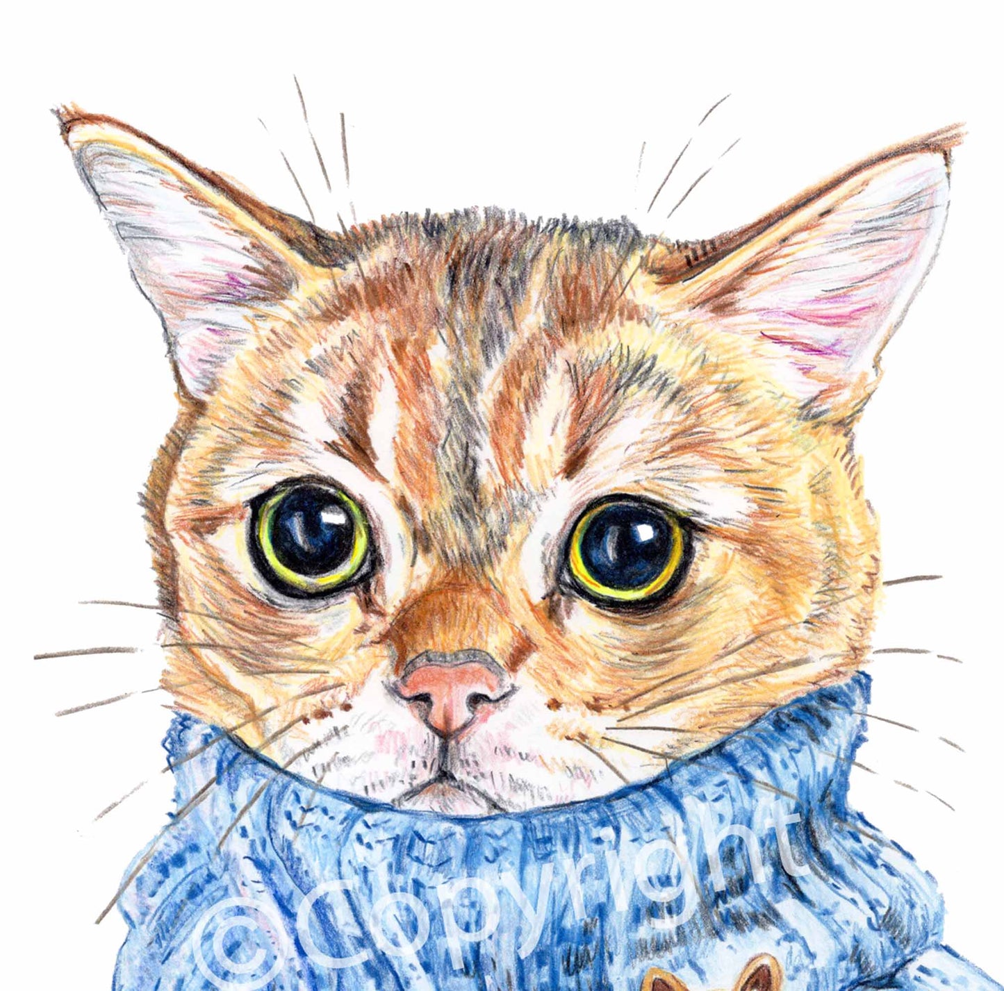 Pastel drawing of a shy tan Persian cat wearing knitted blue sweater. Art by Deidre Wicks