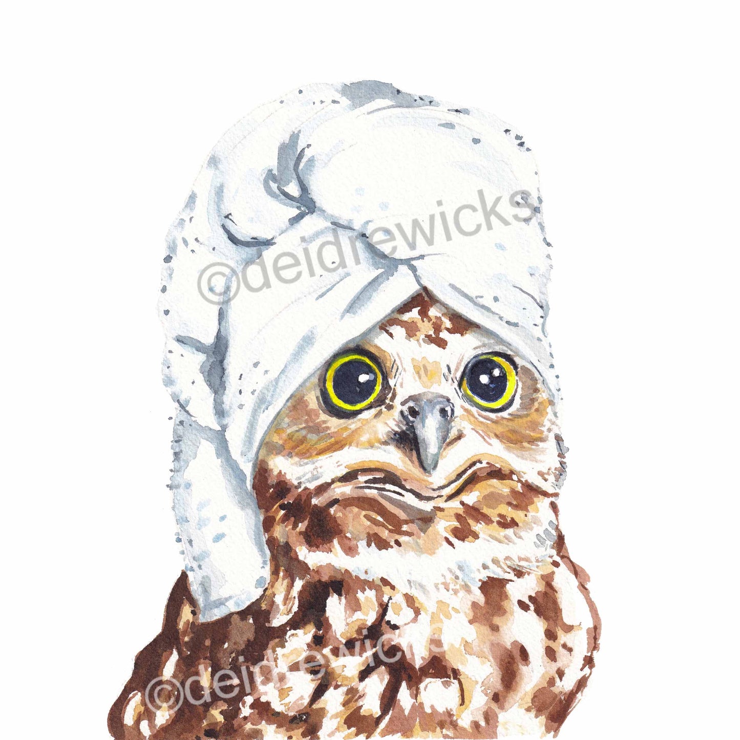 Watercolour painting of a Northern Saw-Whet owl wearing a spa towel on it's head