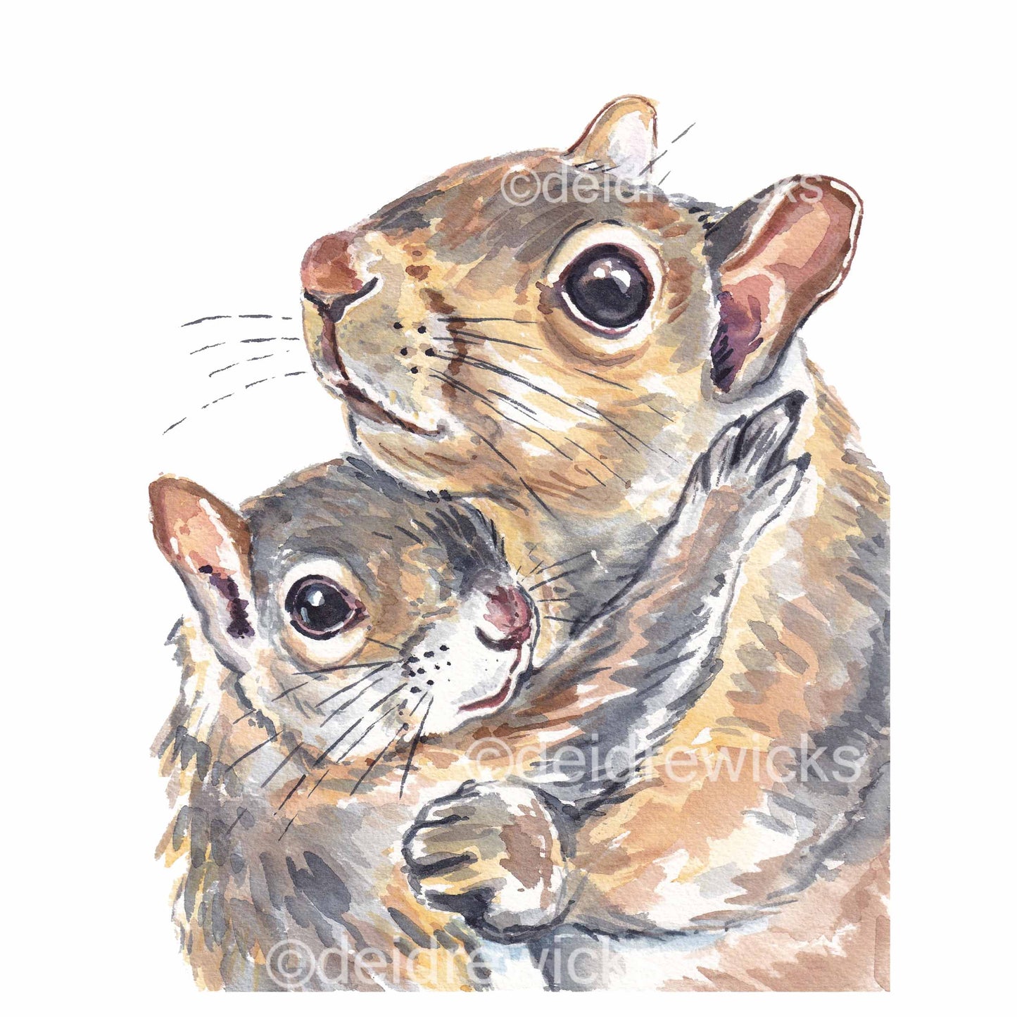 Watercolour painting of a Mother squirrel hugging her baby by artist Deidre Wicks