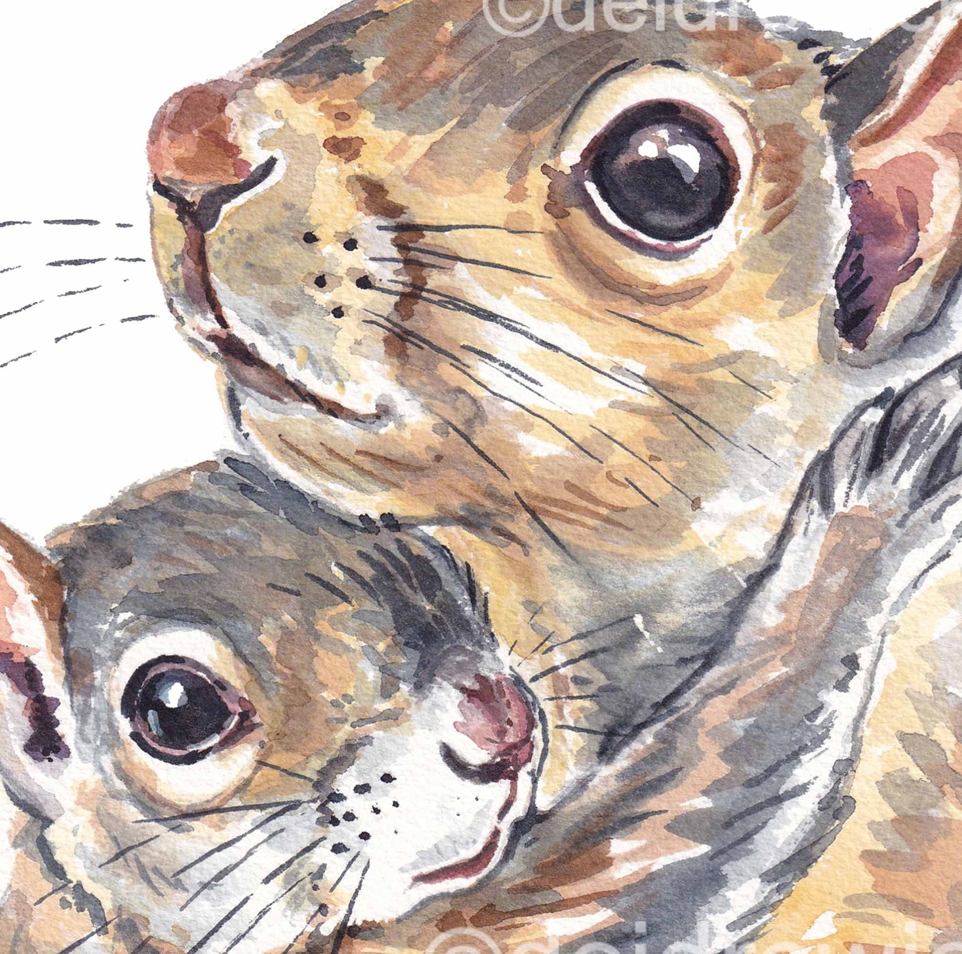 Close up of a mother and child squirrel watercolour painting