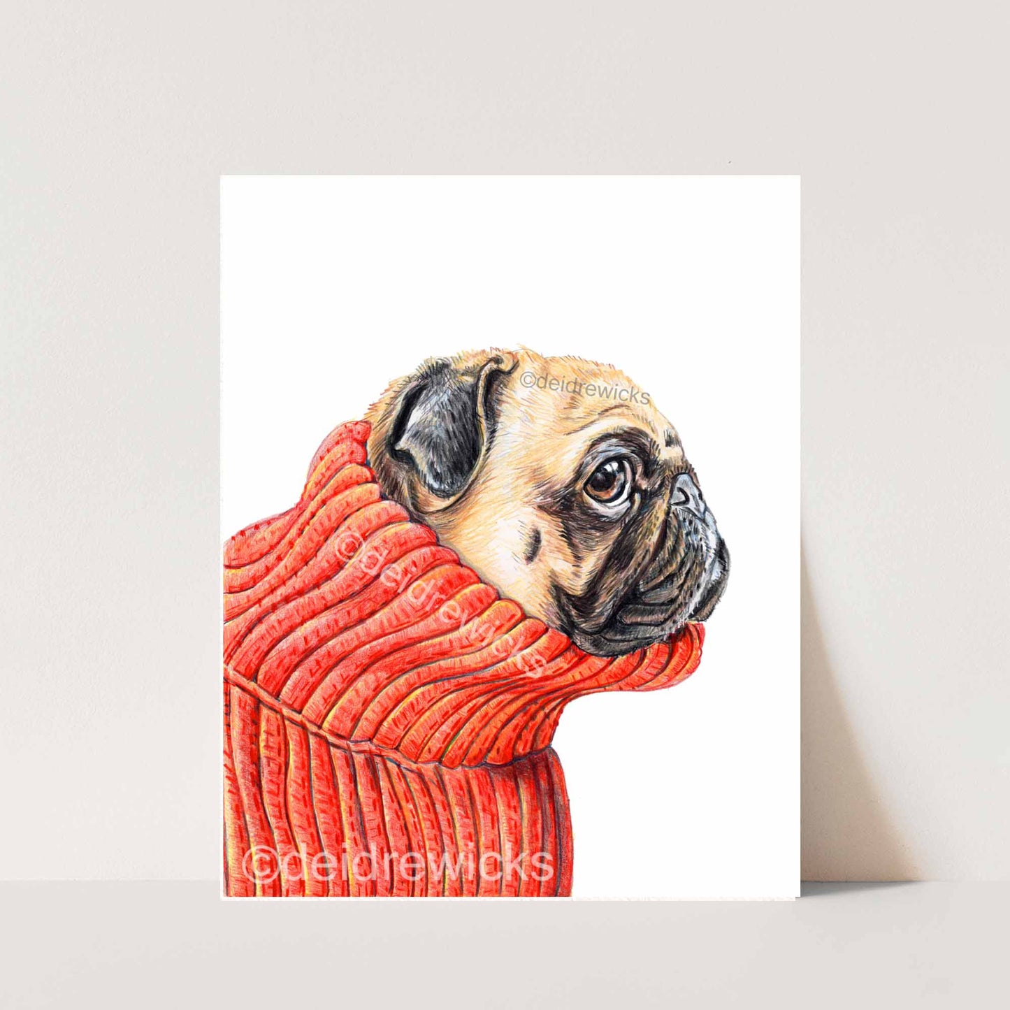 Coloured pencil drawing of a pug dog in profile wearing a red turtleneck sweater by Deidre Wicks