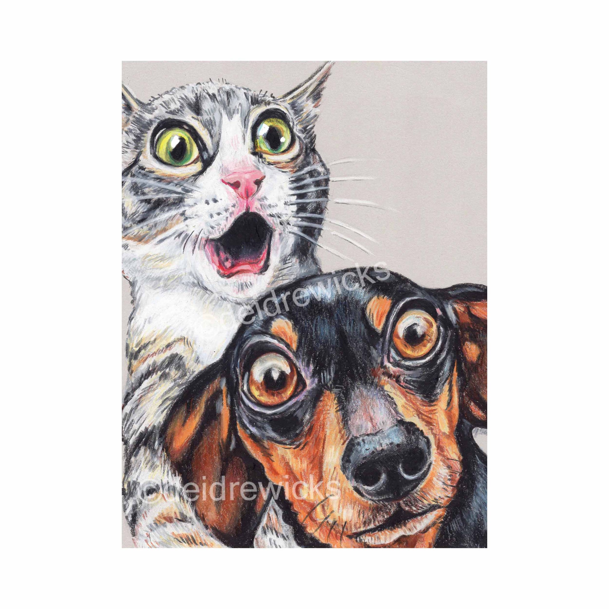 Crayon drawing of a shocked grey tabby kitten and her dachshund buddy